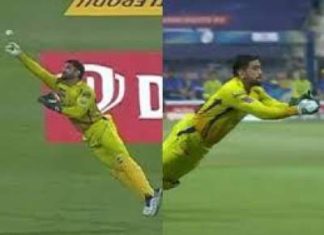 watch MS Dhoni Flying Catch vs KKR IPL 2020 watch MS Dhoni Flying Catch vs KKR IPL 2020