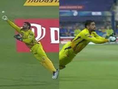 watch MS Dhoni Flying Catch vs KKR IPL 2020