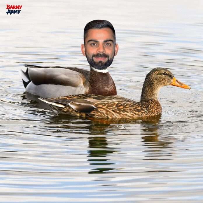 Barmy army meme on virat kohli Barmy army meme on virat kohli