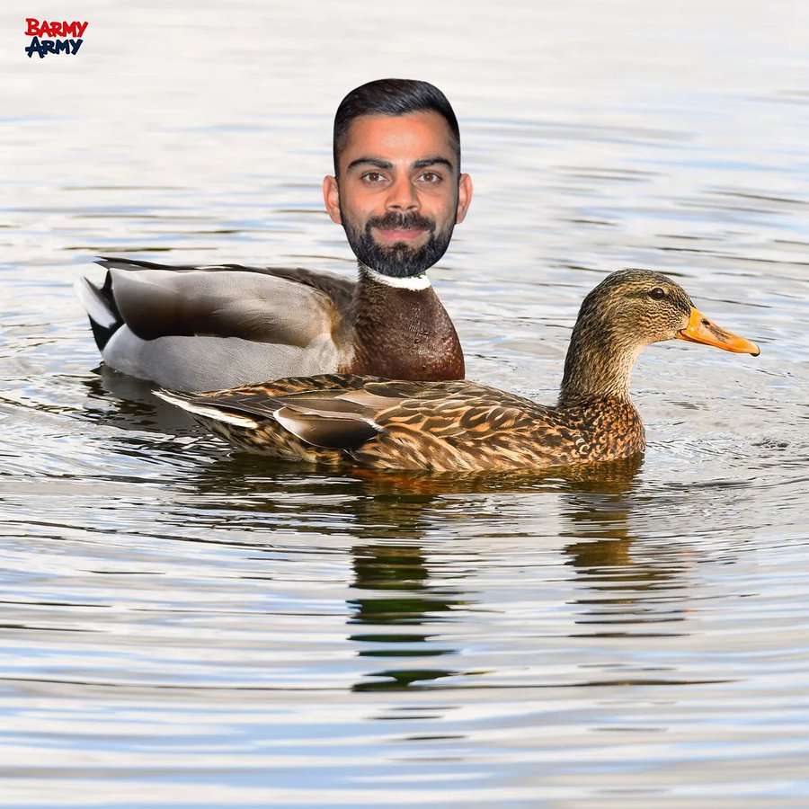 Barmy army meme on virat kohli